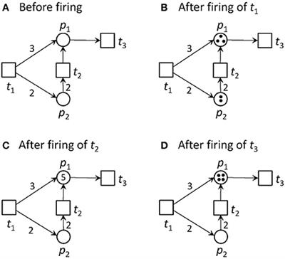 Modeling the Metabolism of Arabidopsis thaliana: Application of Network Decomposition and Network Reduction in the Context of Petri Nets